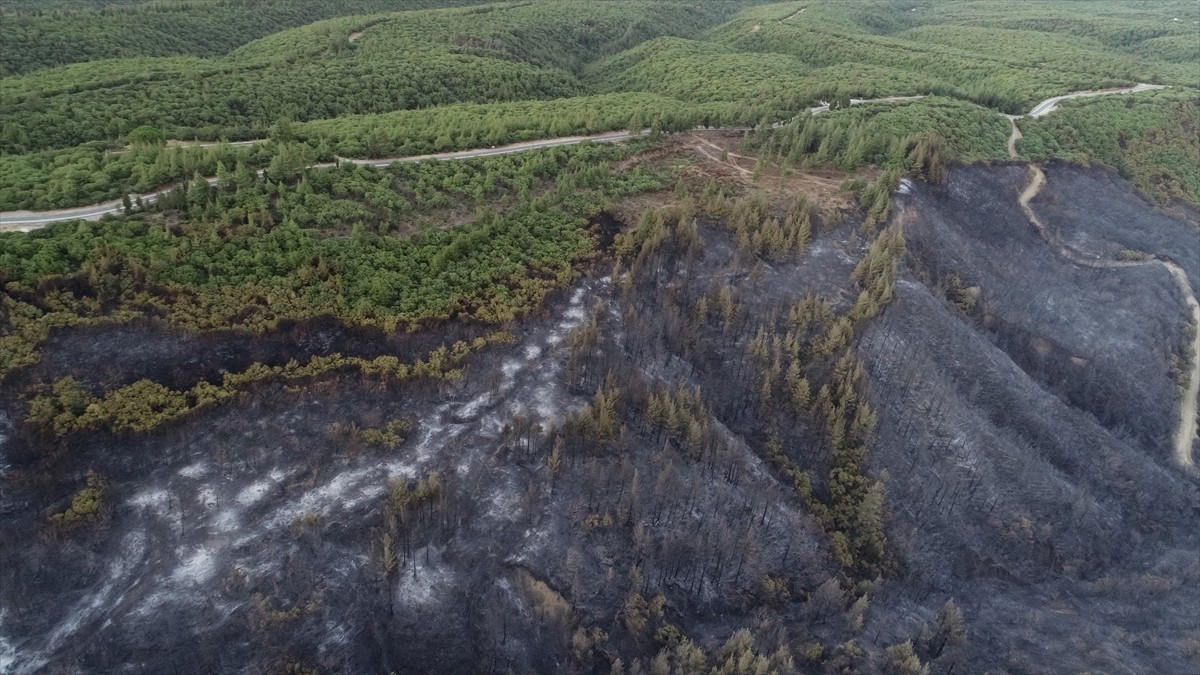 Çanakkale'de 21 saattir devam eden orman yangınının zarar verdiği Tarihi Gelibolu Yarımadası dron...