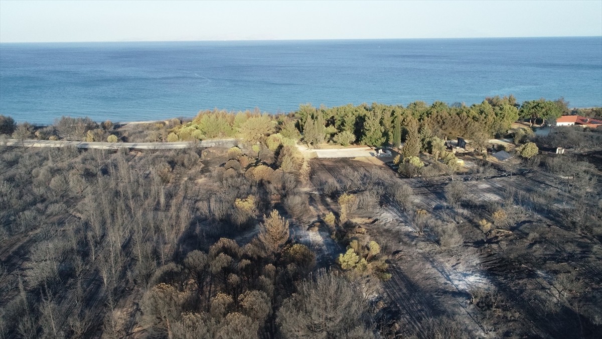 Çanakkale'de 21 saattir devam eden orman yangınının zarar verdiği Tarihi Gelibolu Yarımadası dron...