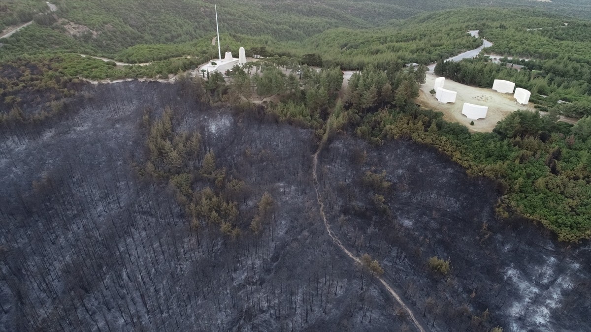 Çanakkale'de 21 saattir devam eden orman yangınının zarar verdiği Tarihi Gelibolu Yarımadası dron...