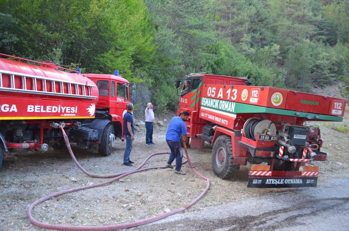 Çorum'un Dodurga ilçesinde ormanlık alanda çıkan yangın, itfaiye ile Orman Bölge Müdürlüğü...