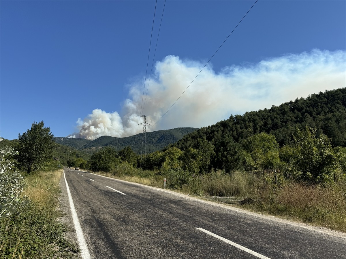 Karabük'ün Ovacık ilçesinde ormanlık alanda çıkan yangın söndürülmeye çalışılıyor.