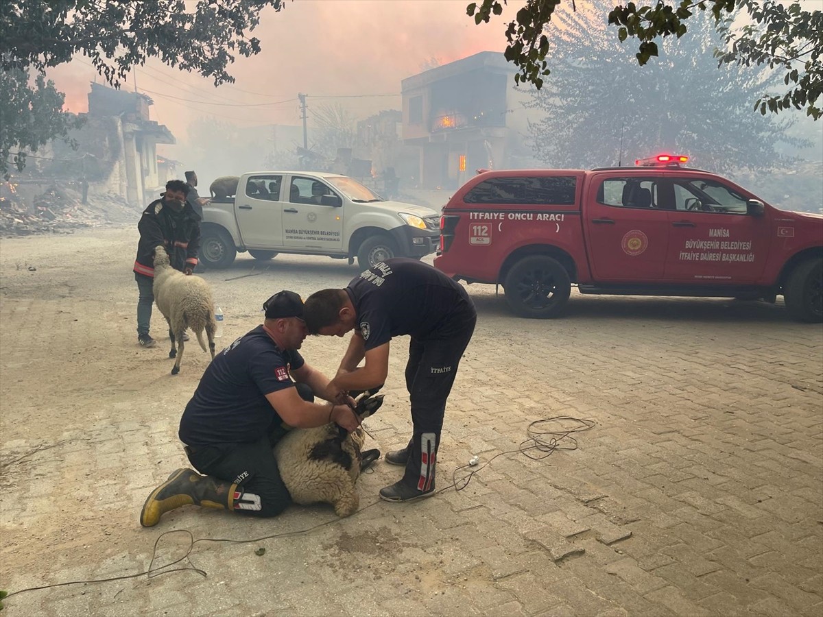 Manisa'da Gördes ilçesinde Boyalı ve Kayacık mahallelerinde çıkan orman yangınlarına müdahale...