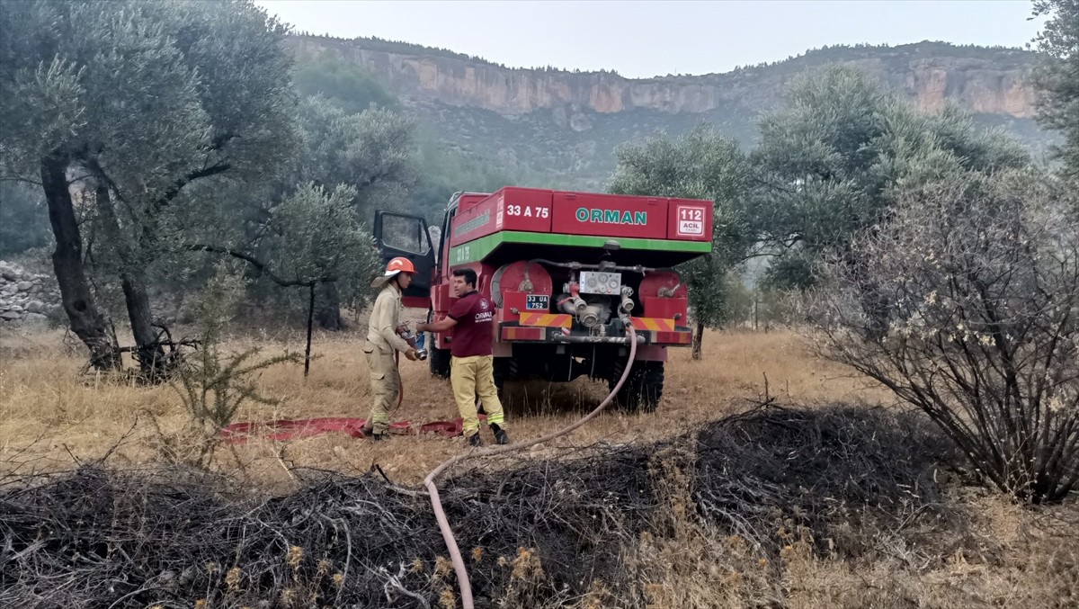 Mersin'in Silifke ilçesinde ormanlık alanda çıkan yangının kontrol altına alınması için çalışma...