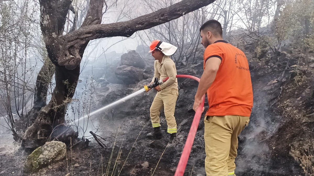 Mersin'in Silifke ilçesinde ormanlık alanda çıkan yangının kontrol altına alınması için çalışma...