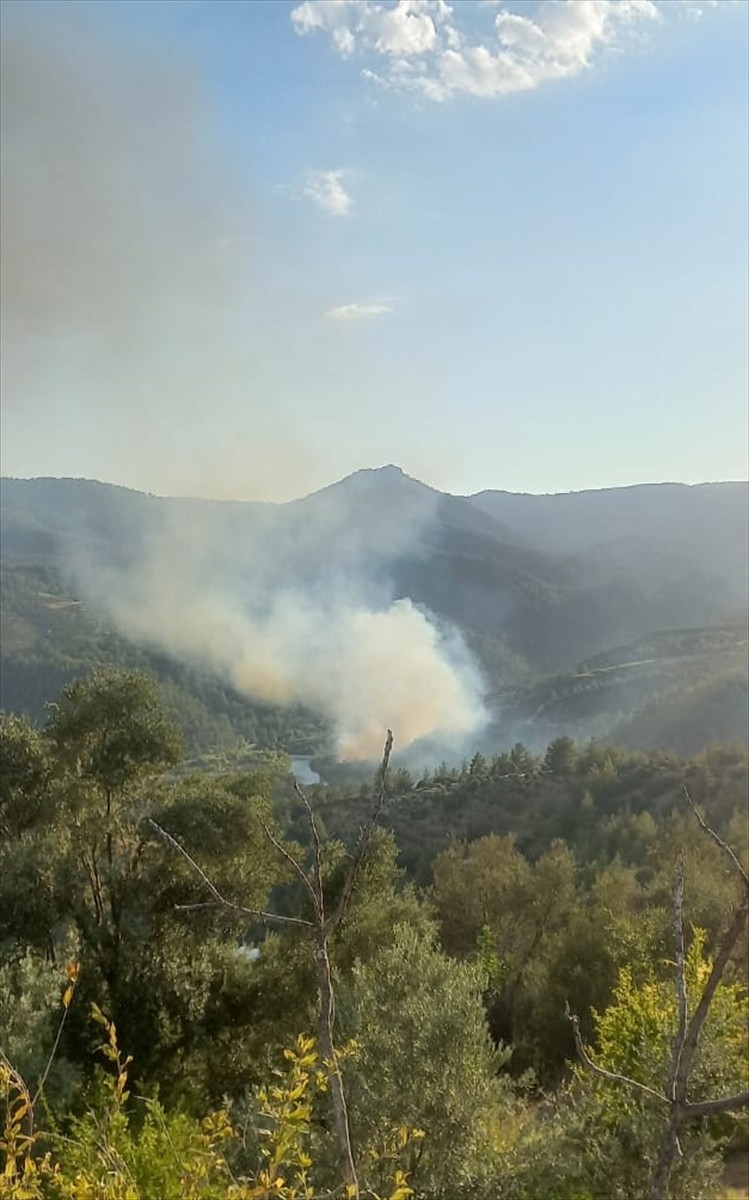 Mersin'in Silifke ilçesinde ormanlık alanda çıkan yangının kontrol altına alınması için havadan ve...