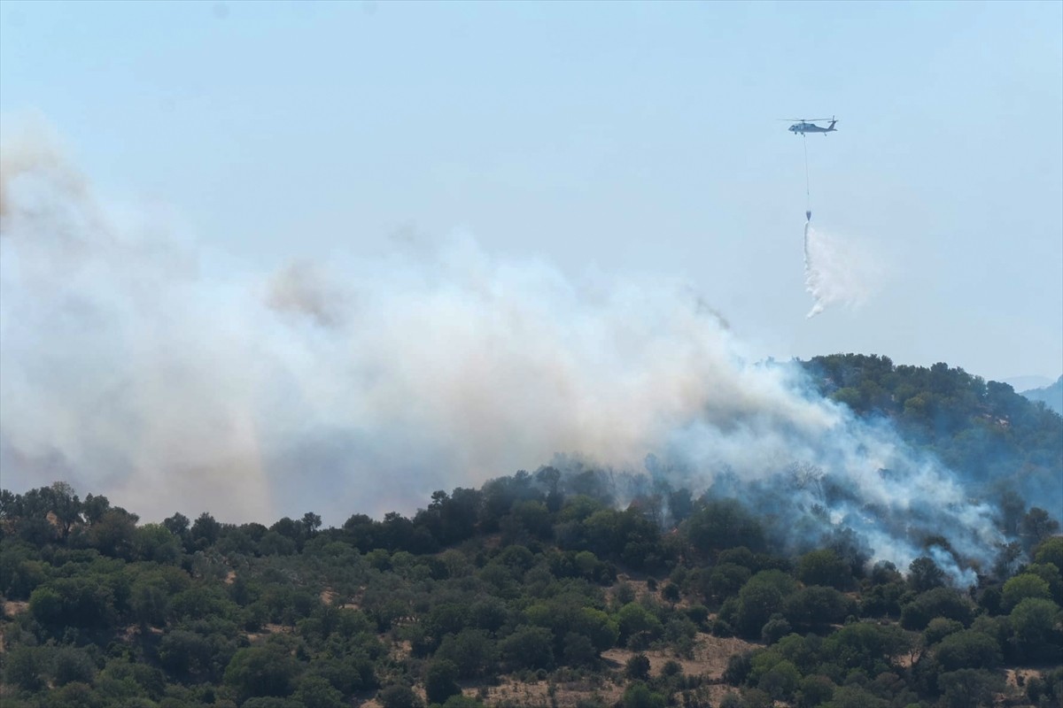 Muğla'nın Bodrum ilçesinde makilik alanda başlayıp zeytin ağaçlarının bulunduğu bölgeye sıçrayan...