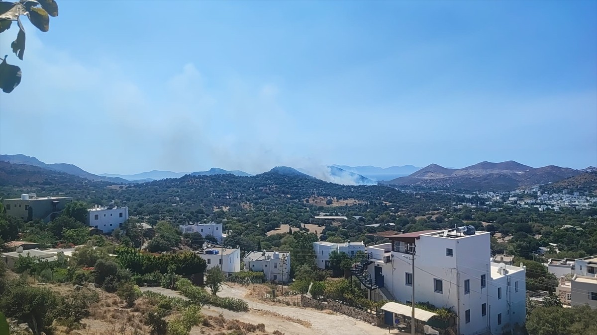 Muğla'nın Bodrum ilçesinde makilik alanda başlayıp zeytin ağaçlarının bulunduğu bölgeye sıçrayan...