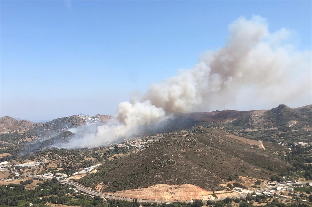 Muğla'nın Bodrum ilçesinde makilik alanda başlayıp zeytin ağaçlarının bulunduğu bölgeye sıçrayan...