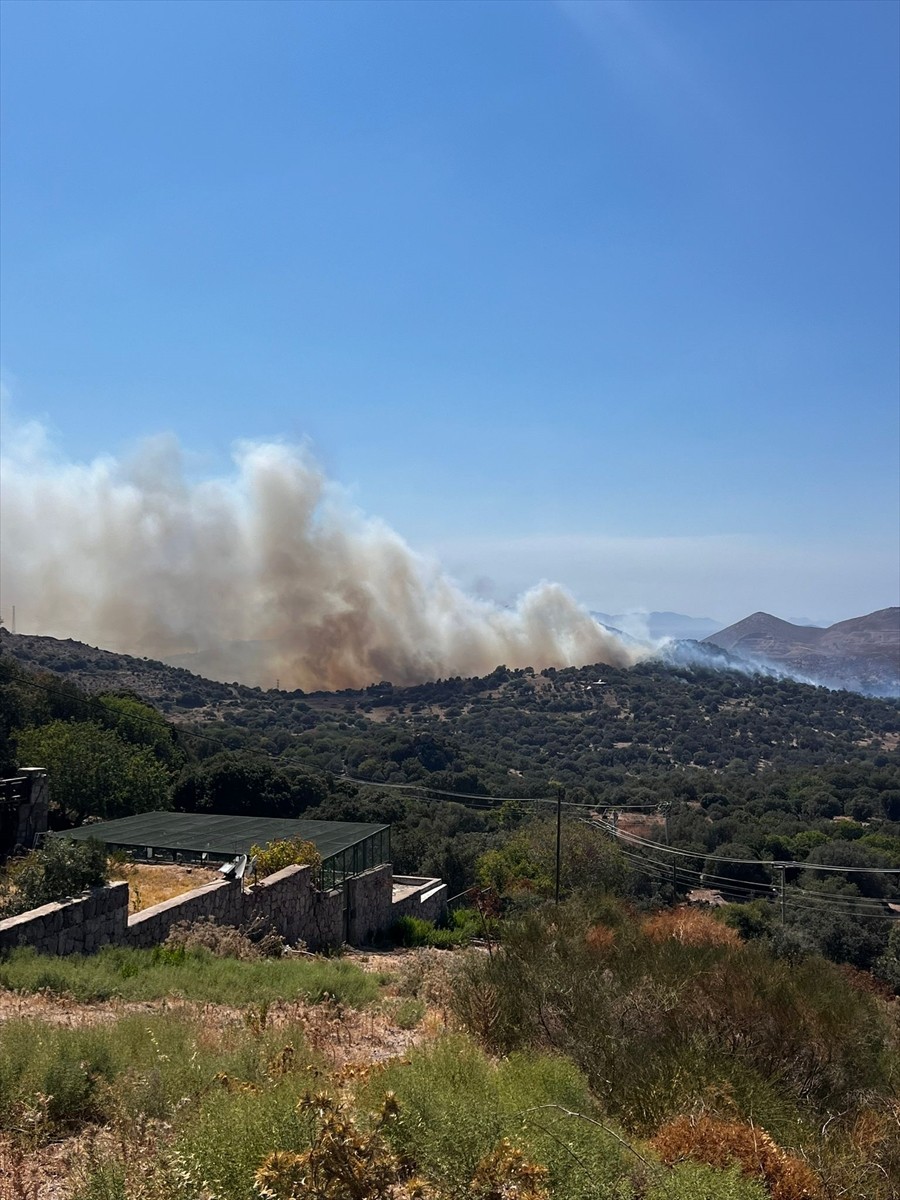 Muğla'nın Bodrum ilçesinde makilik alanda başlayıp zeytin ağaçlarının bulunduğu bölgeye sıçrayan...