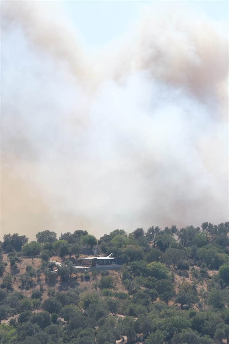 Muğla'nın Bodrum ilçesinde makilik alanda başlayıp zeytin ağaçlarının bulunduğu bölgeye sıçrayan...