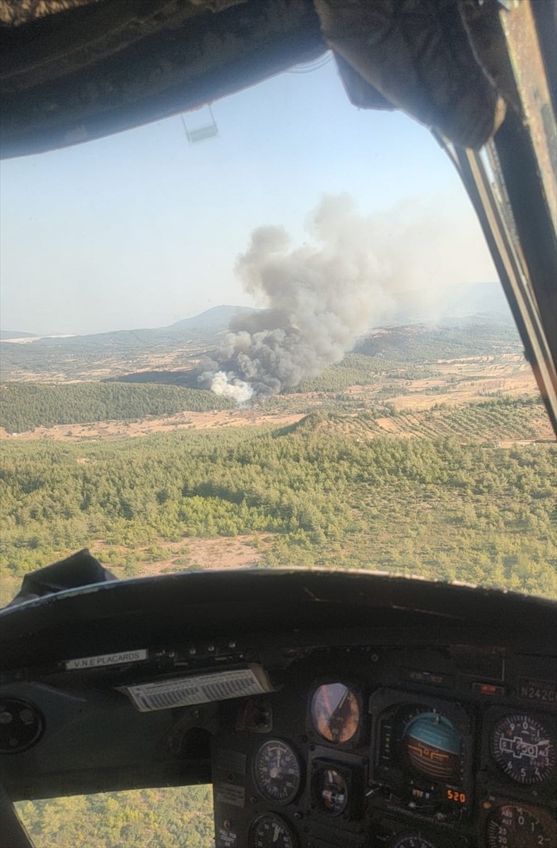 Muğla'nın Milas ilçesinde ormanlık alanda çıkan yangın söndürülmeye çalışılıyor.