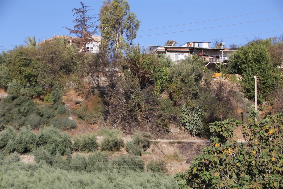 Antalya'nın Serik ilçesinde kırsal arazide başlayıp ormana sıçrayan yangın söndürüldü.