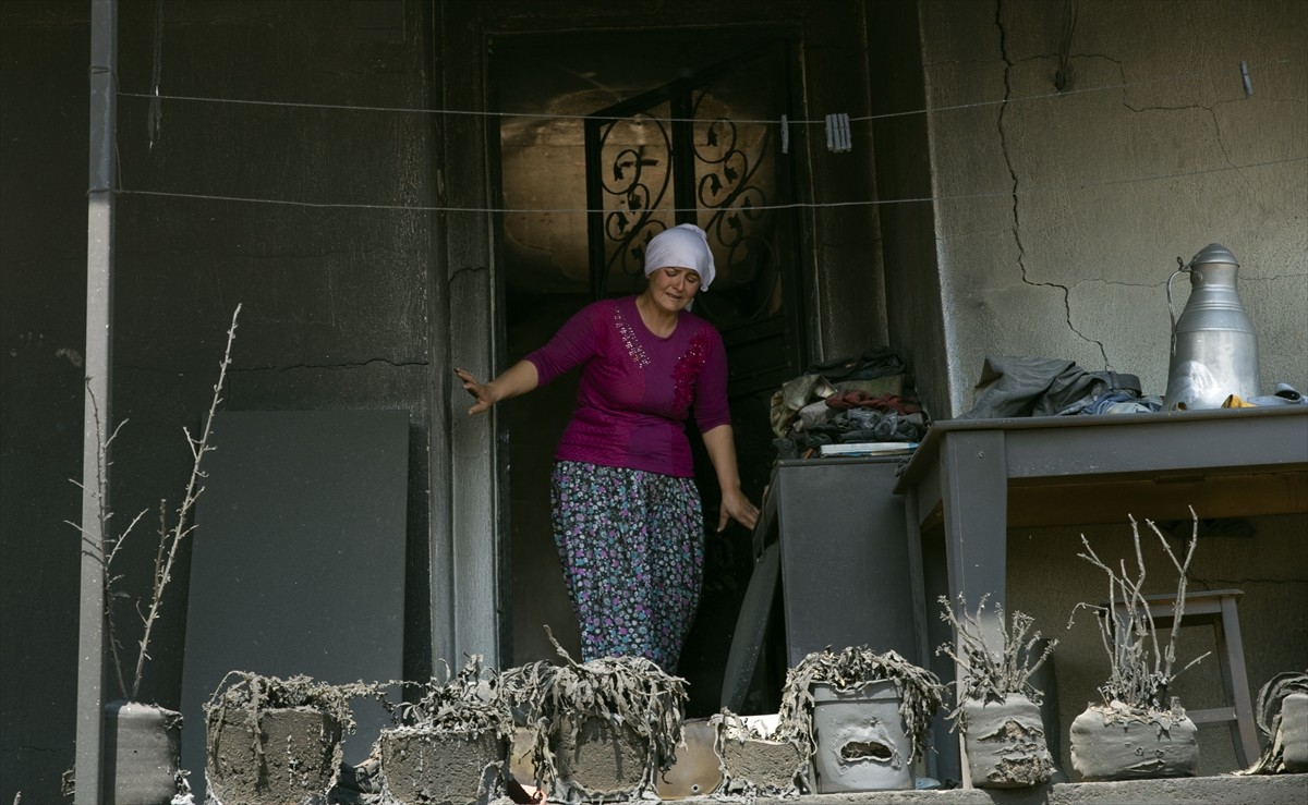 Aydın'ın Bozdoğan ilçesinde çıkan orman yangınında 2 evi ve ahırları yanan, bazı hayvanları da...