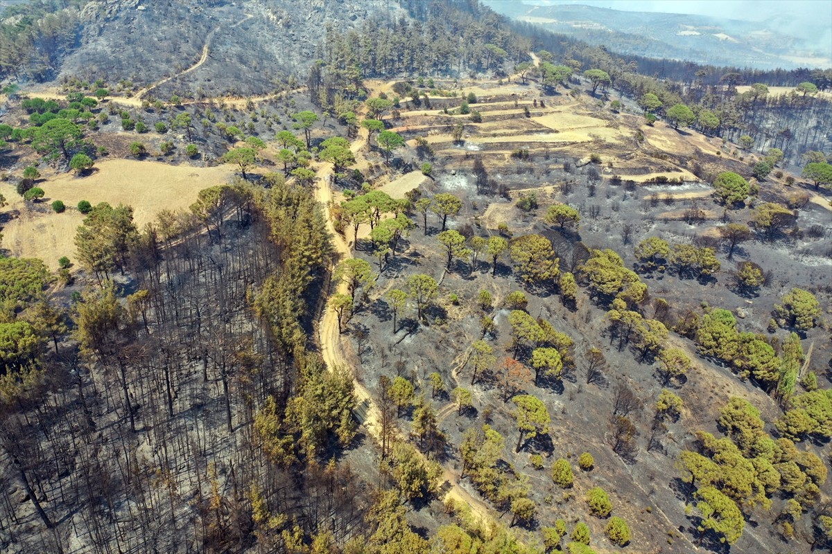  Aydın'ın Bozdoğan ilçesinde devam eden orman yangınında zarar gören yerler havadan...