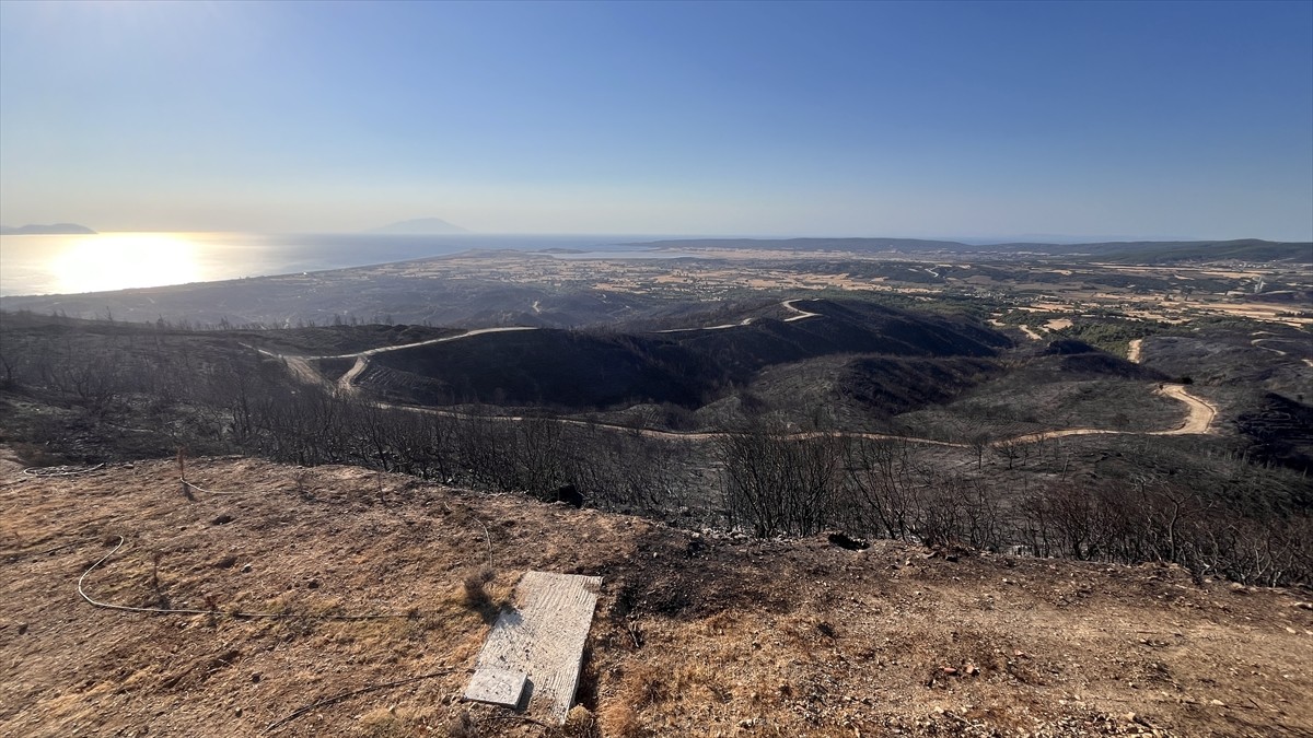 Çanakkale'nin Eceabat ilçesinde önceki gün çıkan ve 700 hektarlık alanda etkili olan orman...