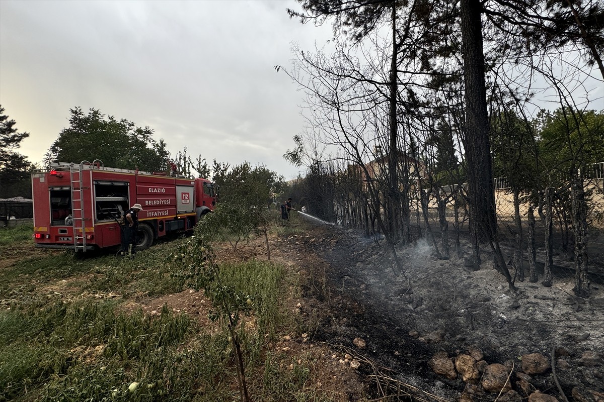 Elazığ'da kırsal arazide çıkan ve yerleşim yerlerindeki bahçelere sıçrayan yangın ekiplerin...