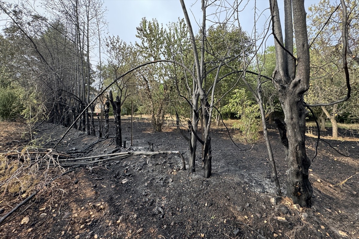 Elazığ'da kırsal arazide çıkan ve yerleşim yerlerindeki bahçelere sıçrayan yangın ekiplerin...