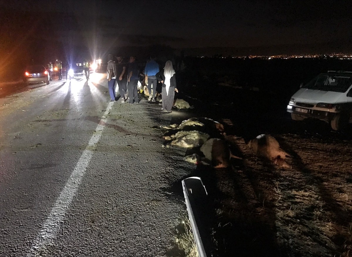 Erzincan’da koyun sürüsüne çarpan otomobil sürücüsü yaralandı, 18 koyun telef oldu.