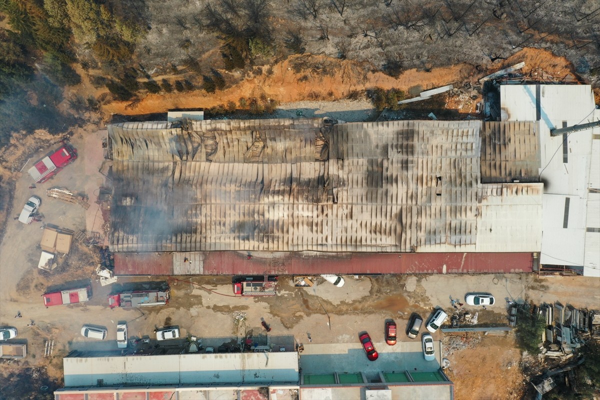 İzmir'in Karşıyaka ilçesi Yamanlar Dağı'nda çıkan yangını söndürme çalışmaları devam ediyor....