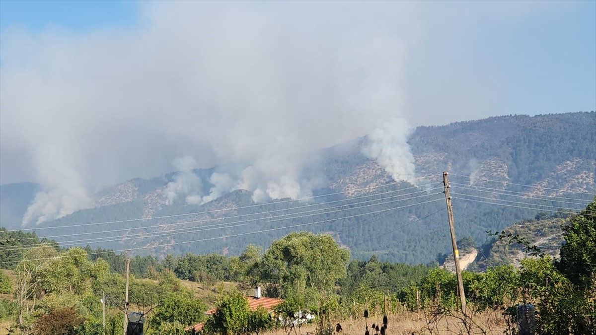 Karabük'ün Ovacık ilçesinde ormanlık alanda çıkan yangını söndürme çalışmaları 20 saattir devam...