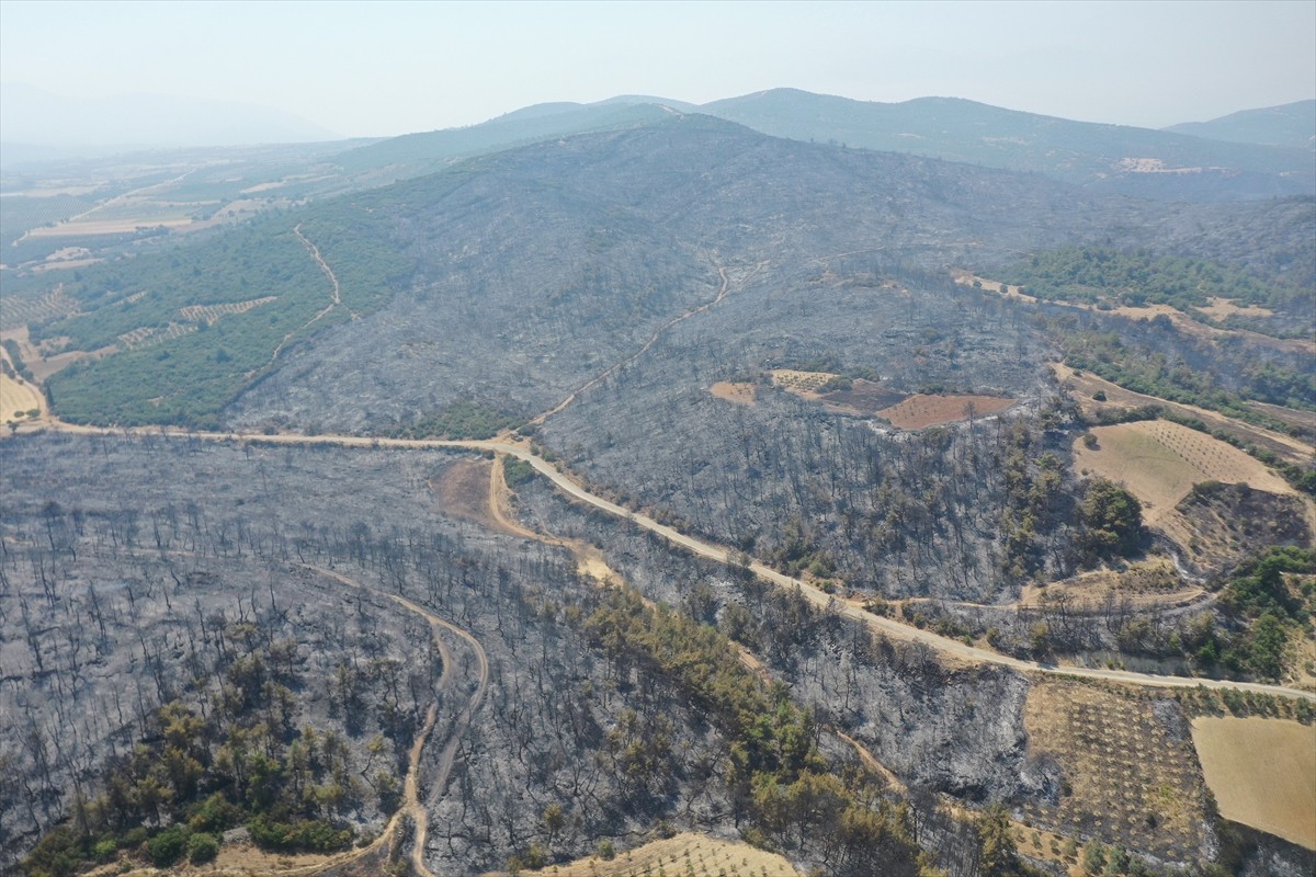 Manisa'nın Gördes ilçesinde başlayıp Salihli ve Gölmarmara ilçesine ulaşan orman yangınlarından...