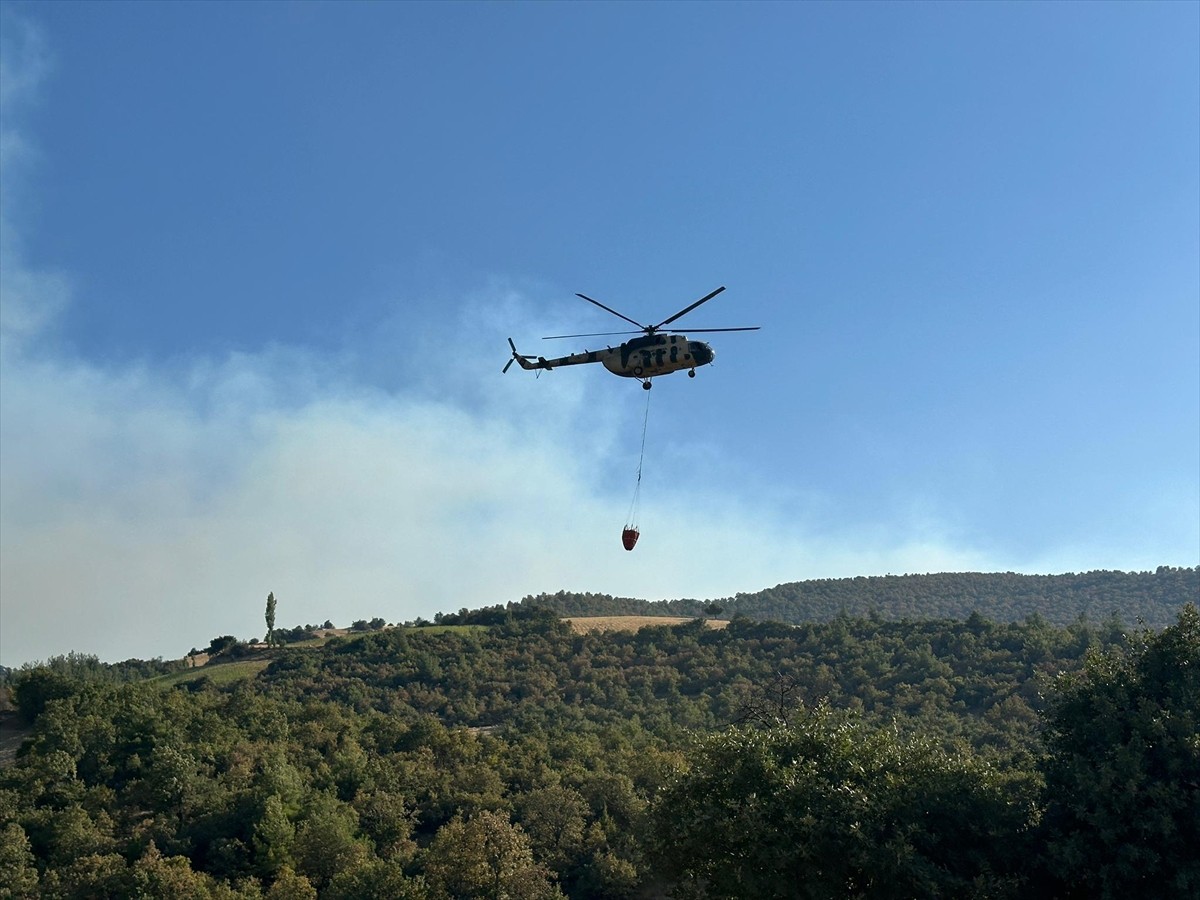 Uşak'ın Eşme ilçesindeki Dereli köyü yakınlarında otluk alanda başlayan ve ormanlık alana sıçrayan...