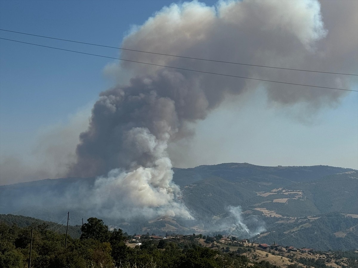 Uşak'ın Eşme ilçesindeki Dereli köyü yakınlarında otluk alanda başlayan ve ormanlık alana sıçrayan...