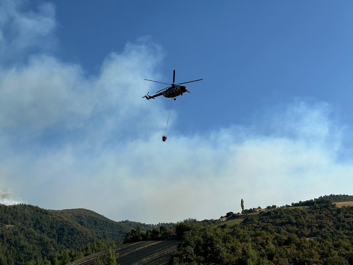 Uşak'ın Eşme ilçesindeki Dereli köyü yakınlarında otluk alanda başlayan ve ormanlık alana sıçrayan...