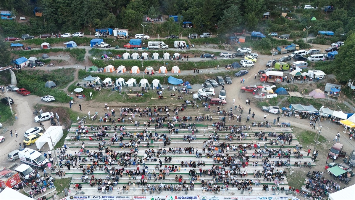 Artvin'de "8. Kafkasör Boğa Güreşleri Türkiye Şampiyonası" düzenlendi. Valilik ve Artvin...