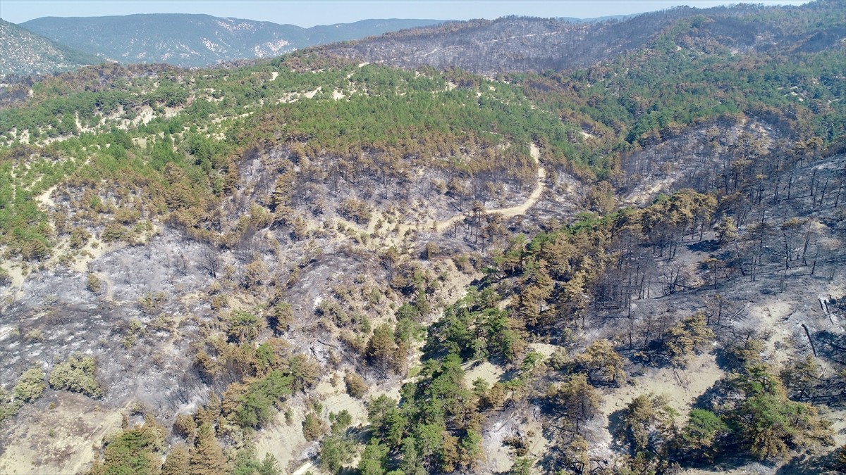 Bolu'nun Göynük ilçesinde çıkan yangında zarar gören ormanlık alan Dedeler Köyü mevkisinde havadan...