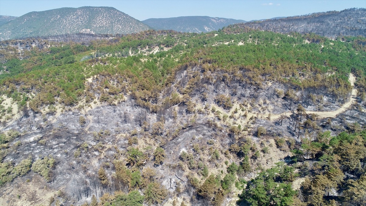 Bolu'nun Göynük ilçesinde çıkan yangında zarar gören ormanlık alan Dedeler Köyü mevkisinde havadan...