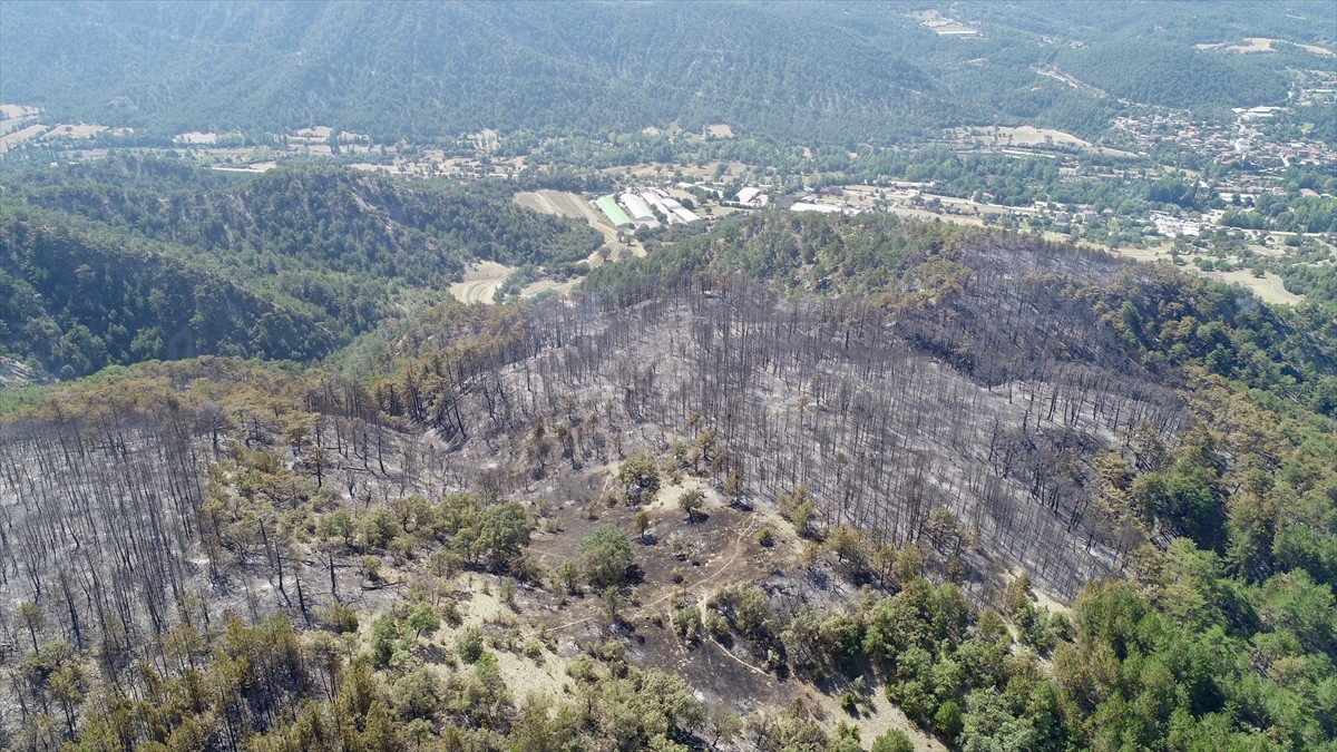 Bolu'nun Göynük ilçesinde çıkan yangında zarar gören ormanlık alan Dedeler Köyü mevkisinde havadan...