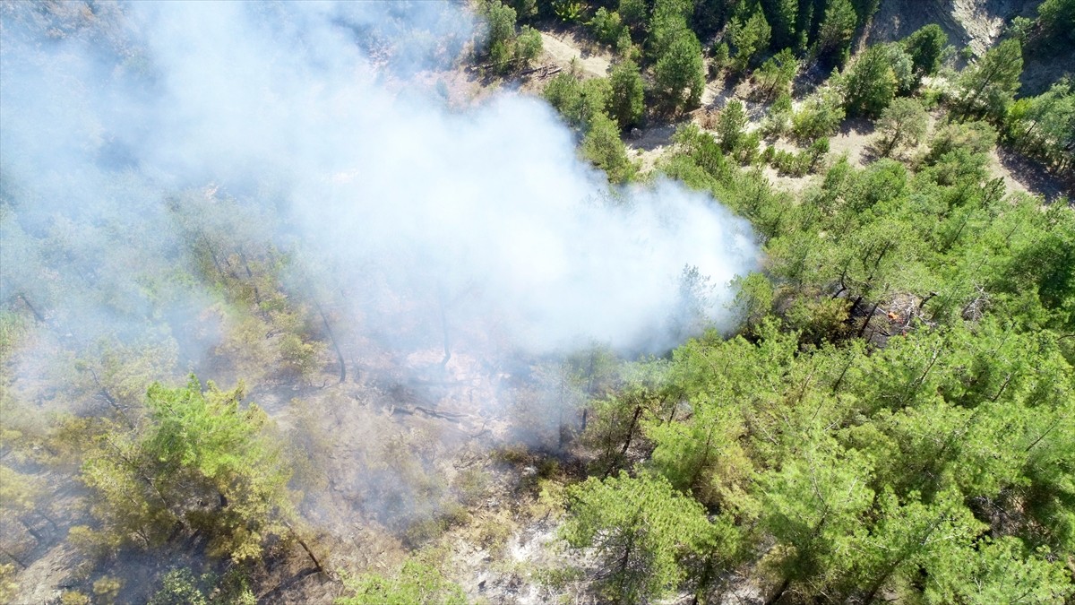 Bolu'nun Göynük ilçesinde ormanlık alanda çıkan yangını söndürme çalışmaları 71 saattir devam...