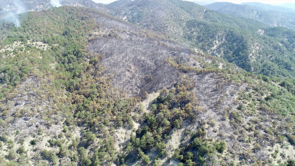 Bolu'nun Göynük ilçesinde ormanlık alanda çıkan yangını söndürme çalışmaları 71 saattir devam...