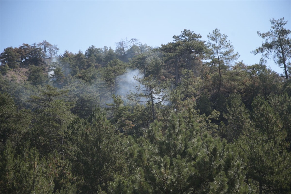 Bolu'nun Göynük ilçesinde ormanlık alanda çıkan yangını söndürme çalışmaları havadan ve karadan...