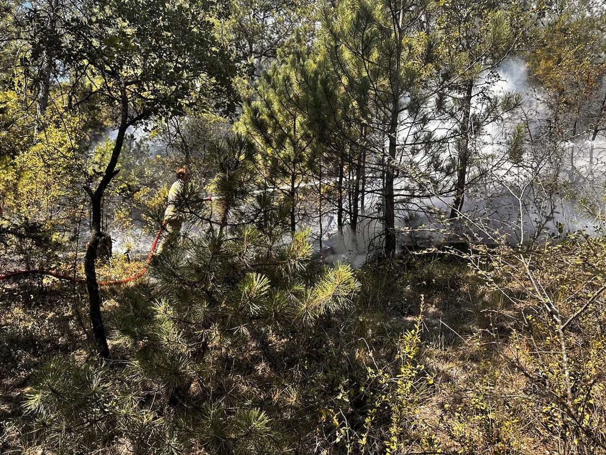 Bolu'nun Göynük ilçesinde ormanlık alanda çıkan yangını söndürme çalışmaları havadan ve karadan...