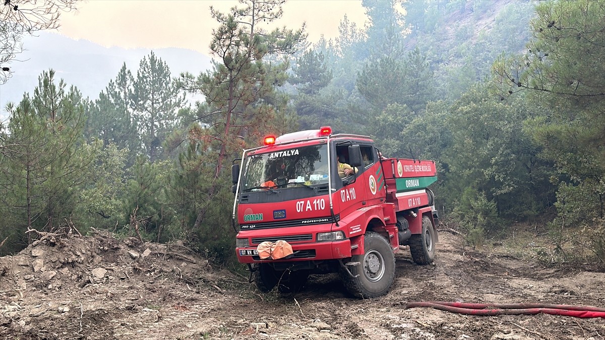 Bolu'nun Göynük ilçesindeki orman yangınını söndürme çalışmalarına aralarında kadınların da olduğu...