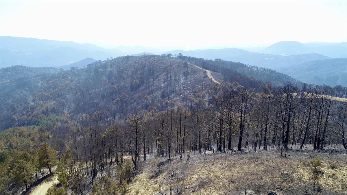 Bolu'nun Göynük ilçesinin Bekirfakılar köyü mevkisinde çıkan yangında zarar gören ormanlık alan...