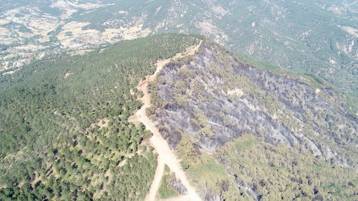 Bolu'nun Göynük ilçesinin Bekirfakılar köyü mevkisinde çıkan yangında zarar gören ormanlık alan...