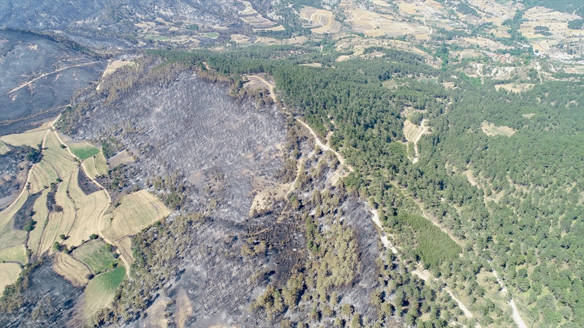 Bolu'nun Göynük ilçesinin Bekirfakılar köyü mevkisinde çıkan yangında zarar gören ormanlık alan...