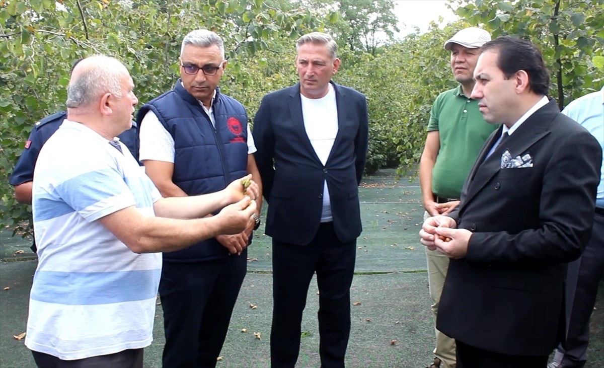 Karadeniz Bölgesi'nin en önemli tarım ürünlerinden fındıkta artan maliyetleri düşürmek isteyen...