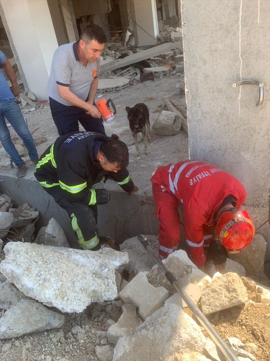 Hatay'ın merkez Antakya ilçesinde, depremde hasar alan evin yıkıntıları arasında sıkışan 5 köpek...