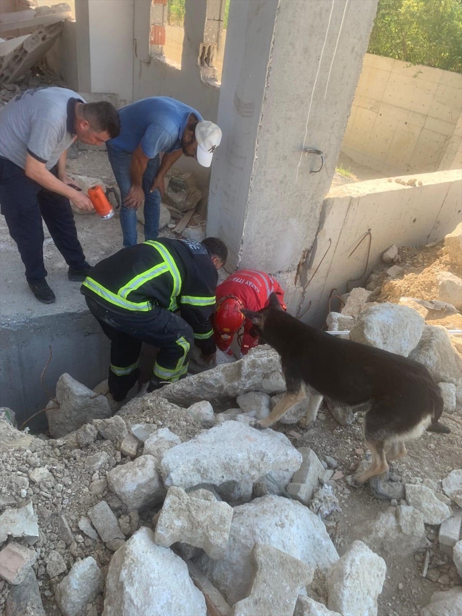 Hatay'ın merkez Antakya ilçesinde, depremde hasar alan evin yıkıntıları arasında sıkışan 5 köpek...