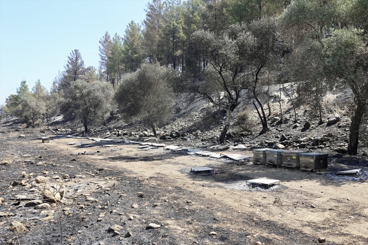 Muğla'nın Yatağan ilçesinde çıkan orman yangınıyla ilgili gözaltına alınan baba ile oğlu adliyeye...