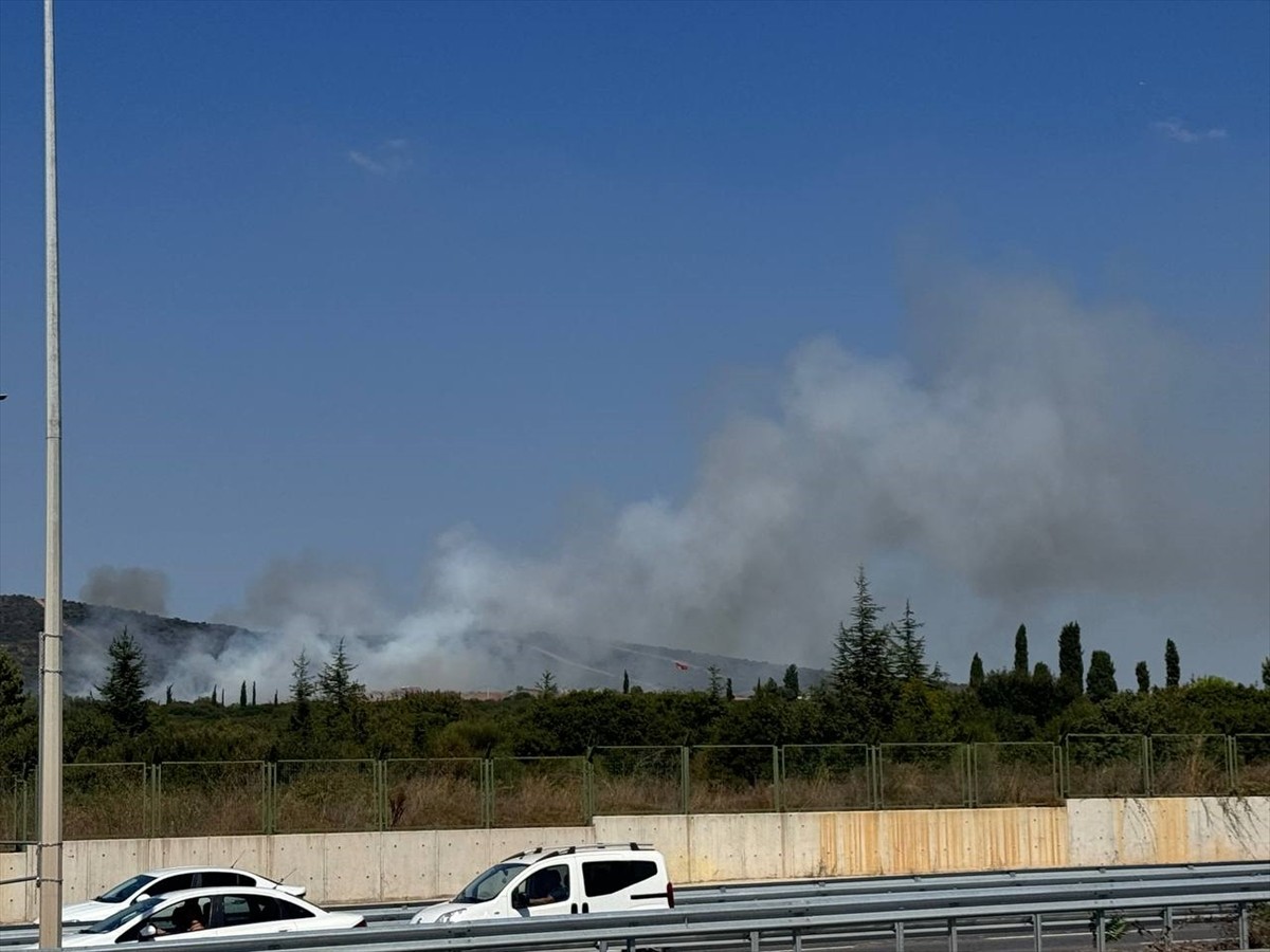 Tuzla Piyade Okulu arazisindeki ağaçlık alanda çıkan yangına itfaiye ekipleri müdahale...