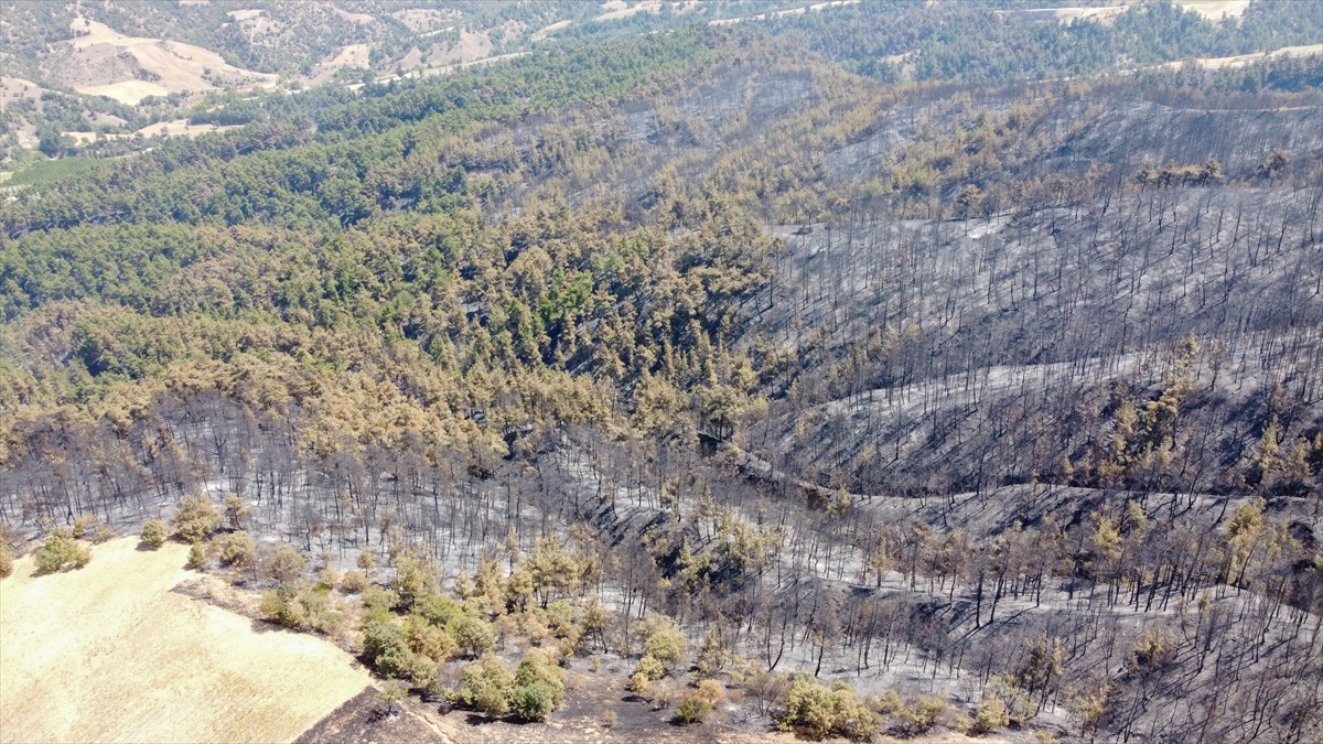 Uşak'ın Eşme ilçesinde otluk alanda başlayıp ormanlık alana sıçrayan yangında zarar gören alanlar...