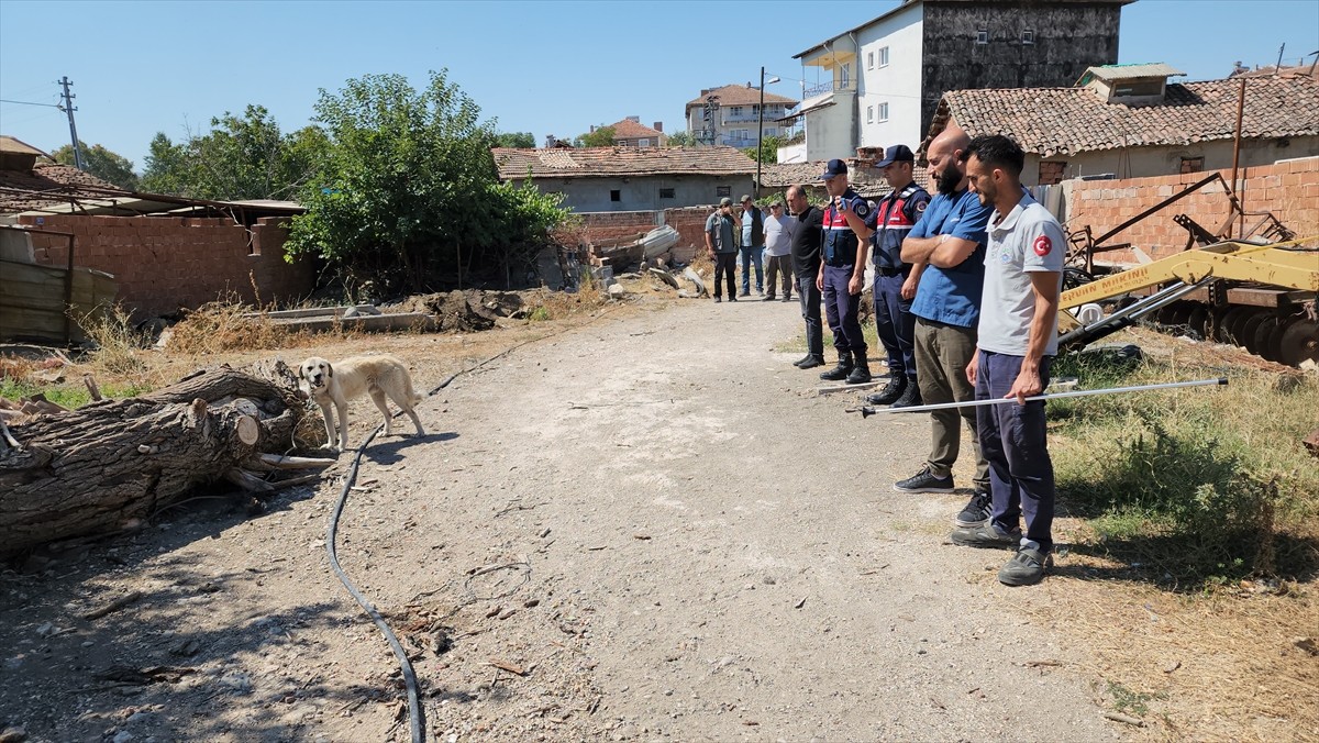 Amasya'nın Suluova ilçesinde, bağlandığı kamyonetin peşinde sürüklenerek götürülen köpek, Doğa...