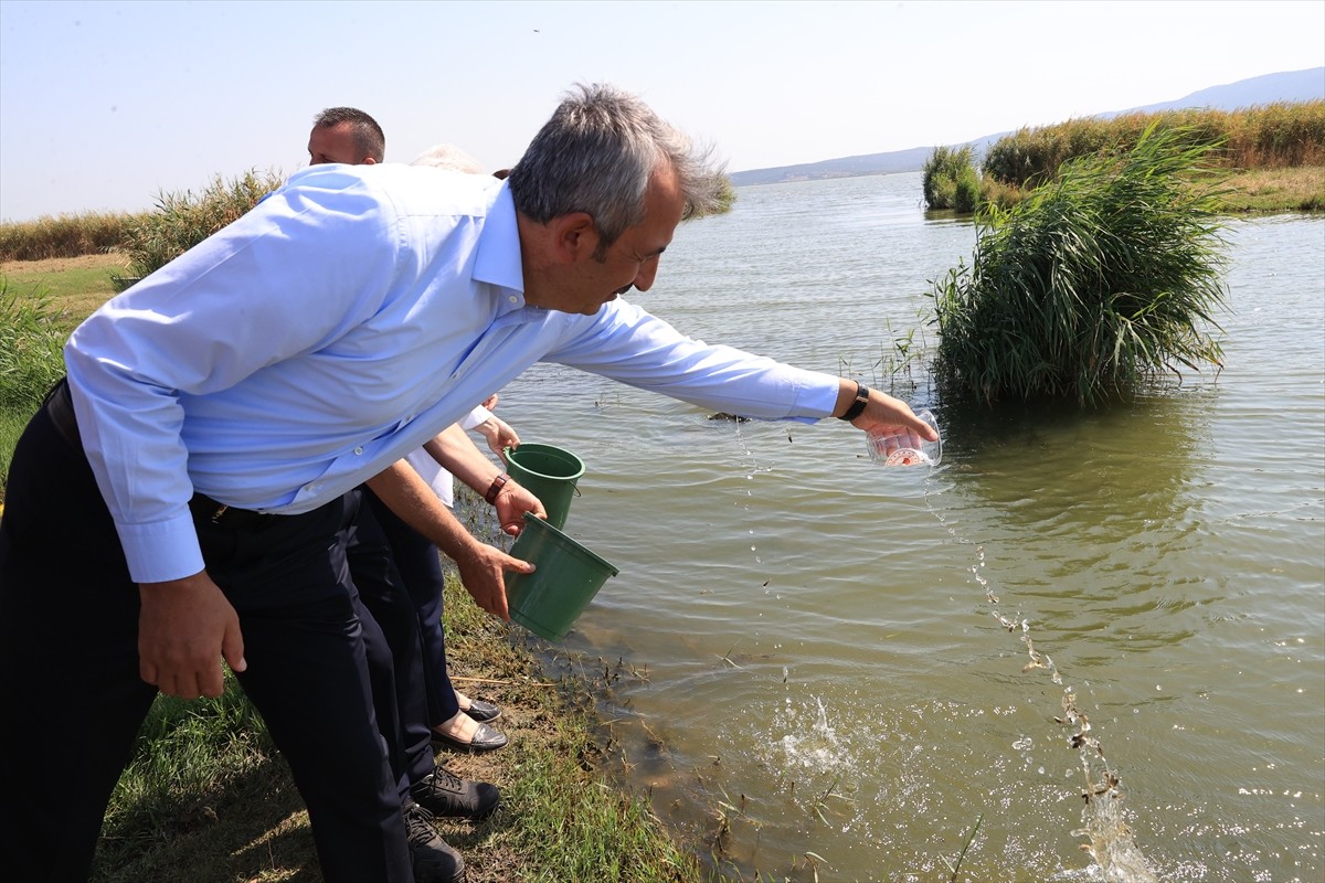 Edirne'nin İpsala ilçesindeki Su Ürünleri Üretim İstasyonu'nda bu yıl yetiştirilen 10 milyon yavru...