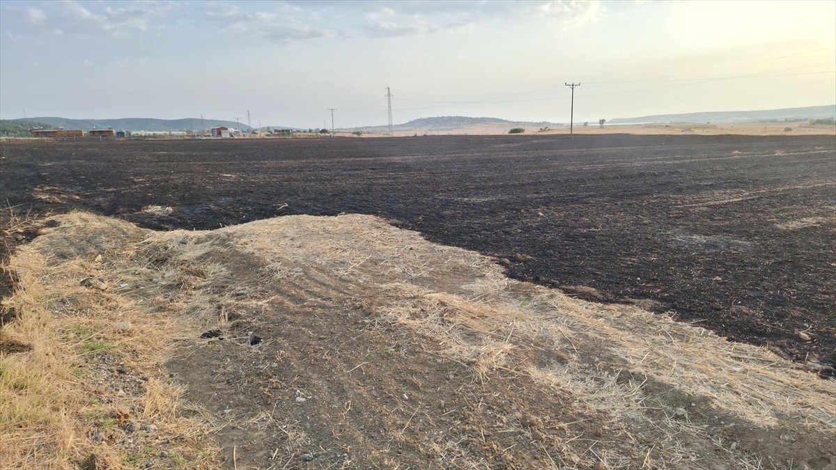 Edirne'nin Keşan ilçesindeki Mecidiye köyünde hasat edilmiş buğday tarlasında henüz belirlenemeyen...