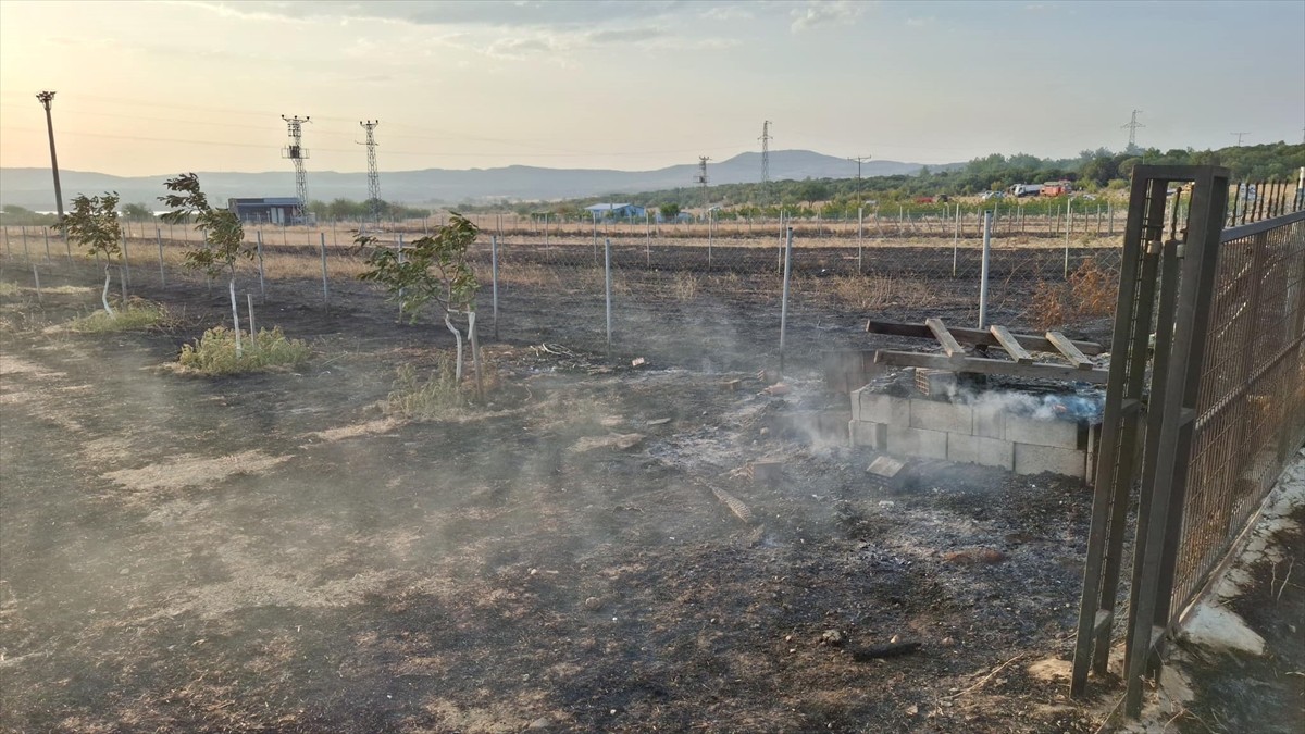 Edirne'nin Keşan ilçesindeki Mecidiye köyünde hasat edilmiş buğday tarlasında henüz belirlenemeyen...